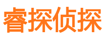 武城侦探公司